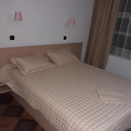Pensión динас