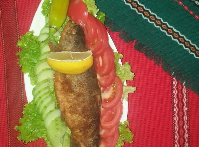 динас Guest house Zmeitsa