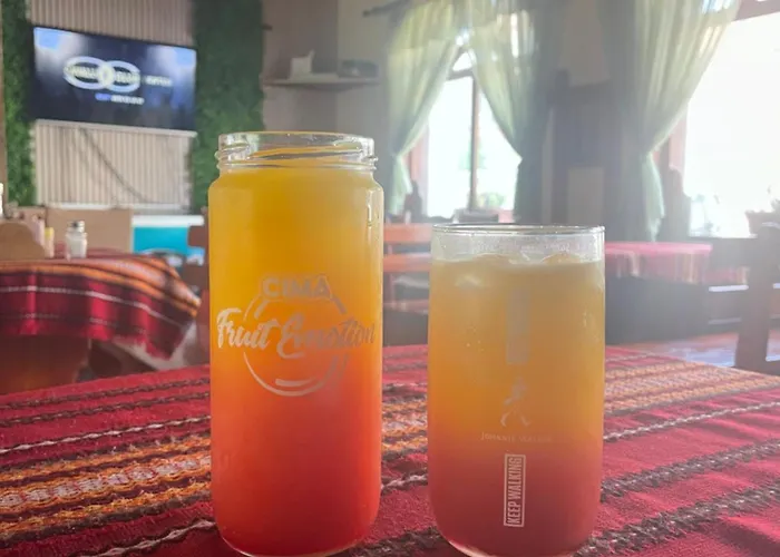 динас Guest house Zmeitsa